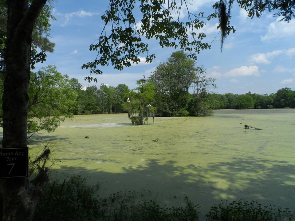 11024606_10200715130436417_7646660265454923991_n