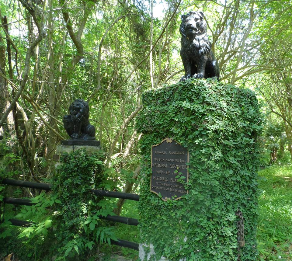 11180328_10200715107795851_9102805442768308983_n