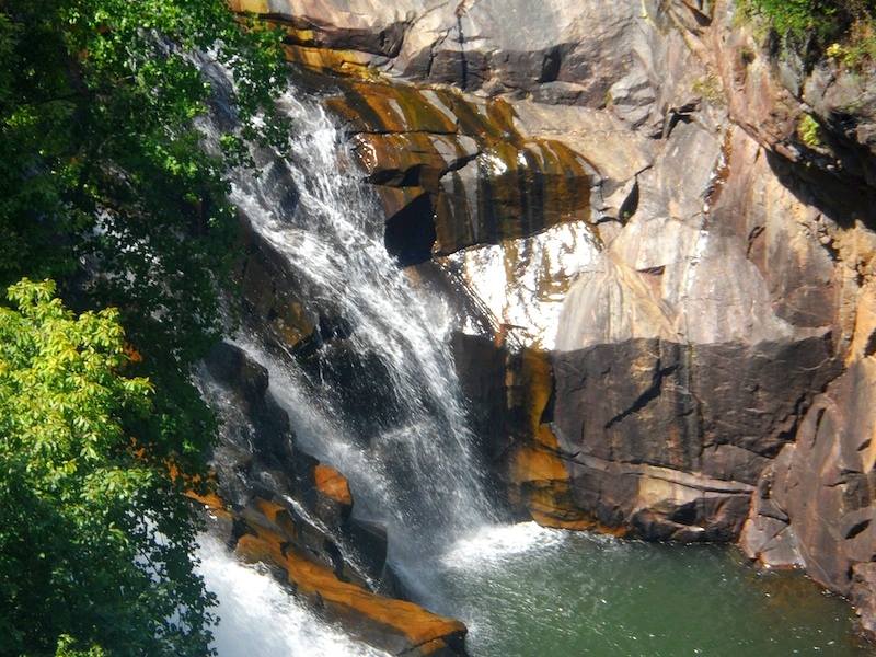 11781785_10201086665164553_8451997417527311991_n