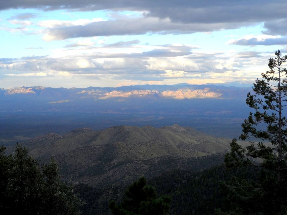 11204463_10201235309240562_8498048318658141621_n