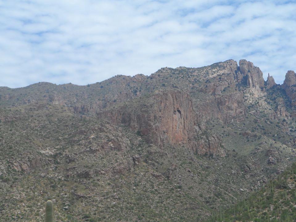 11223849_10201201906325510_7819979493081181013_n