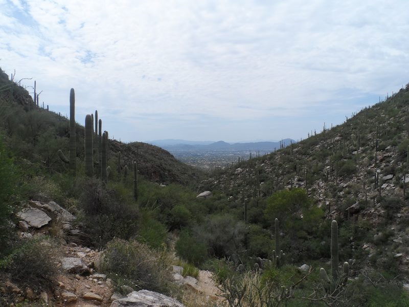 11951746_10201201926526015_2038461793652772406_n