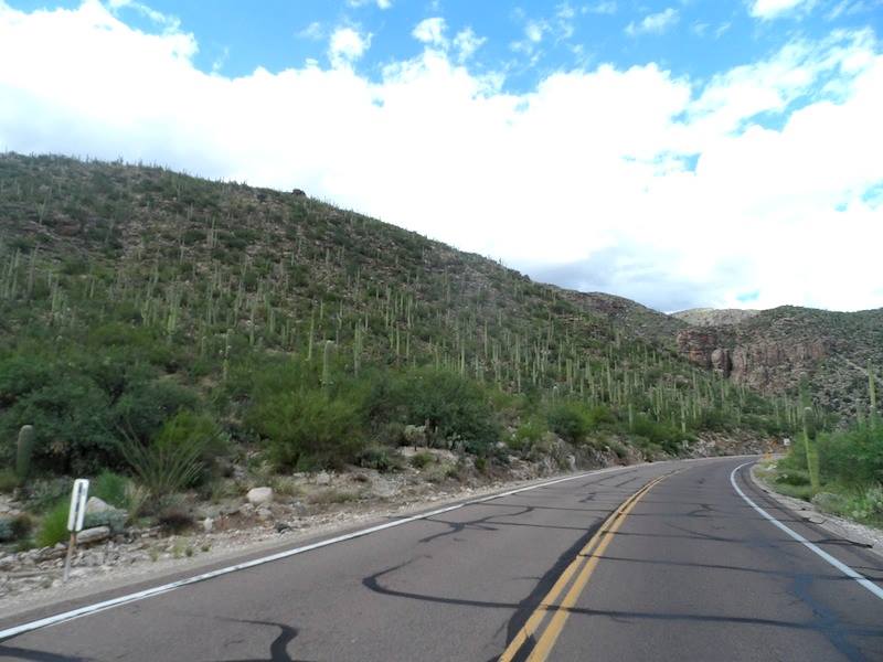 12032065_10201235292080133_6812028849100132054_n