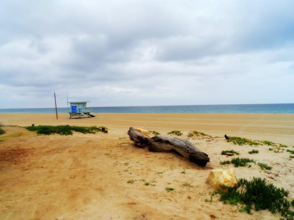 15825953_10203070780046185_8399203637706742501_n