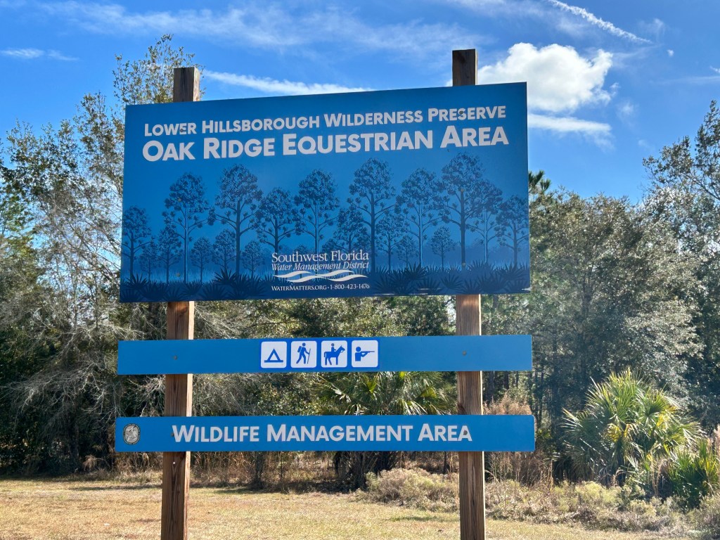 Lost on Purpose: Camping Deep at Oak Ridge