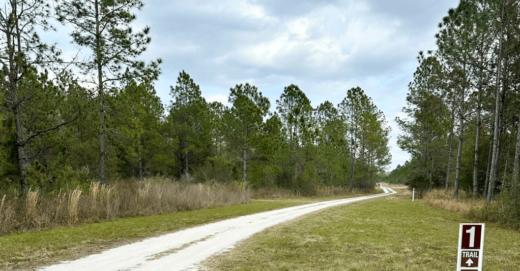 Cypress Creek Preserve: Wild, Quiet, Worth It