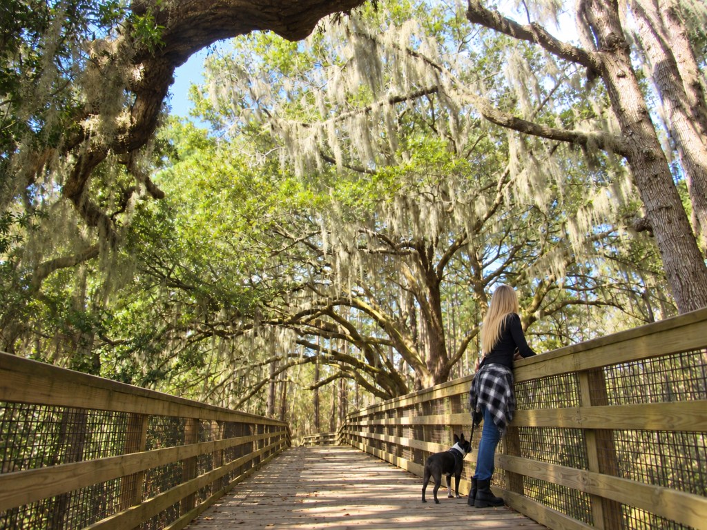 Beaufort’s Crystal Lake&nbsp;Park
