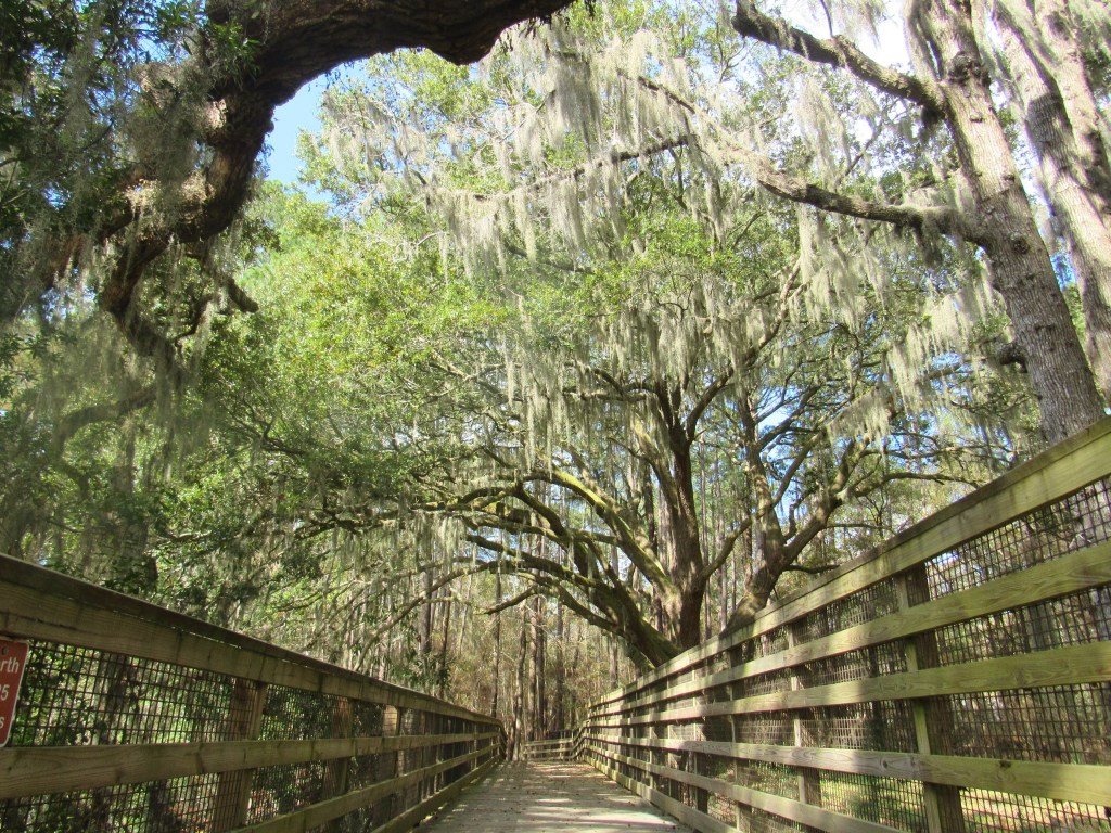 Beaufort’s Crystal Lake&nbsp;Park