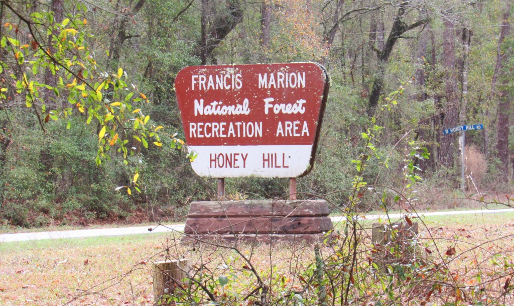 Camping at Honey Hill: Quiet & a Little&nbsp;Strange