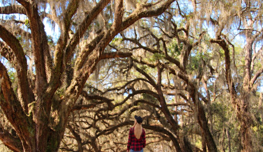 Where Beauty Meets Beast: Santee Coastal&nbsp;Reserve