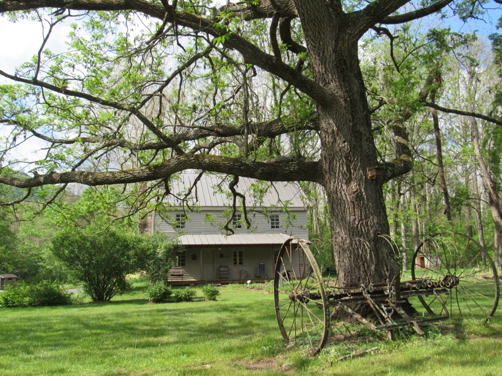 The Sites Homestead