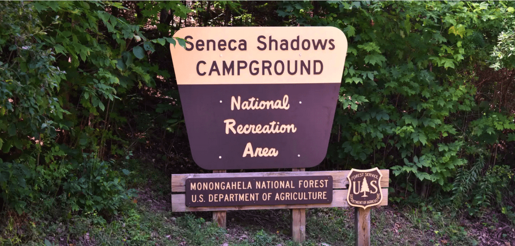 Wandering Into Seneca&nbsp;Shadows